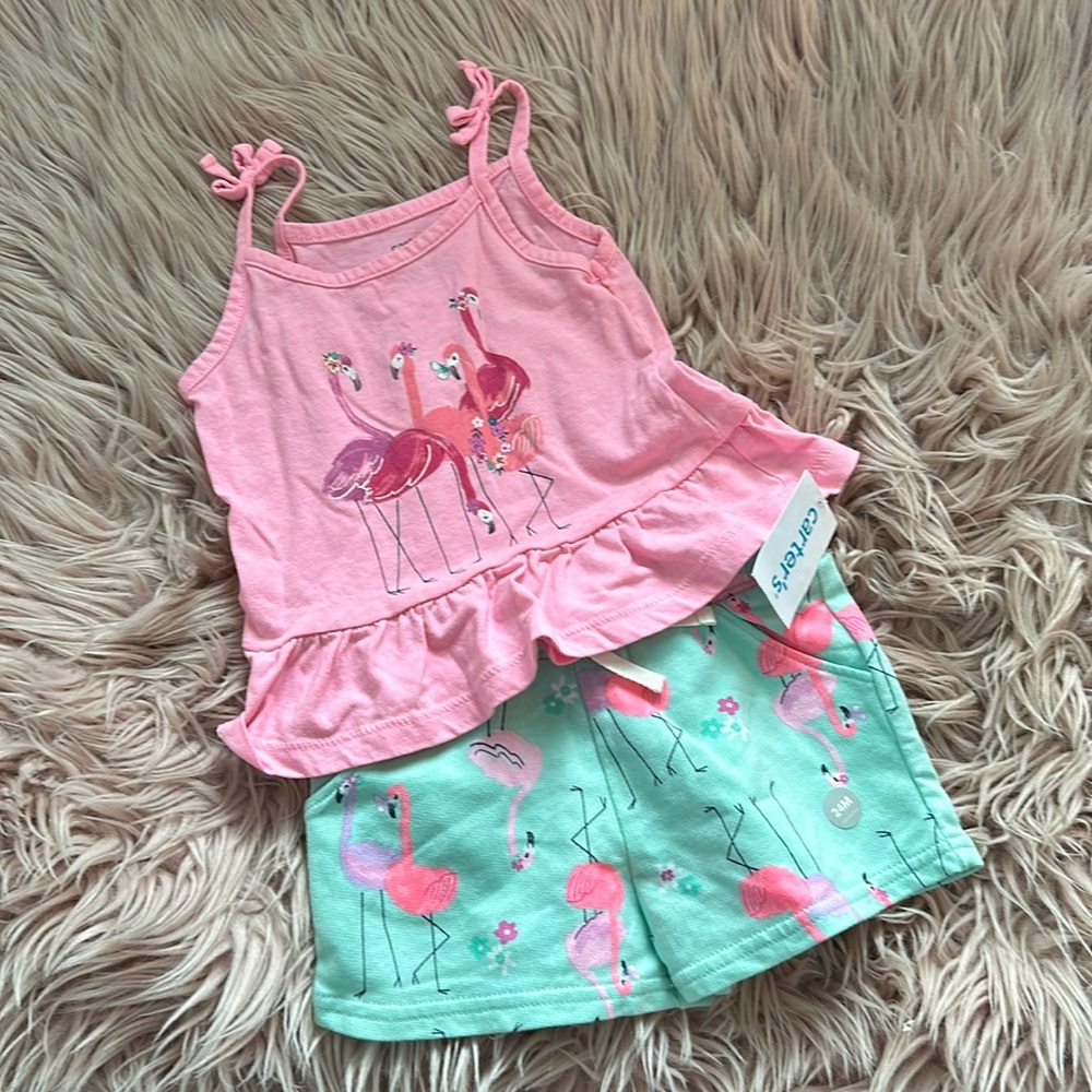 Flamingo Summer Set